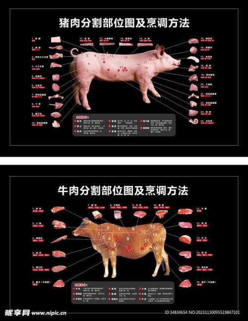 边猪分割视频,揭秘视频内容背后的精彩瞬间