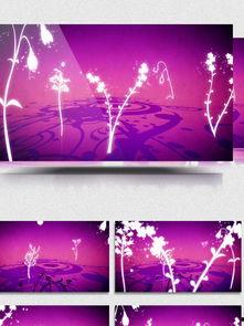 免费背景视频,打造视觉盛宴的创意利器