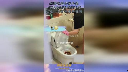 马桶们视频播放,揭秘短视频背后的娱乐狂欢
