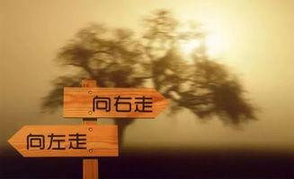 迷茫视频,探寻人生方向的心灵之旅