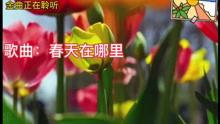 春天在哪里歌曲视频,跟随春天在哪里视频探寻万物复苏之美