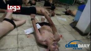 叙利亚打脚心视频,揭秘背后真相与争议