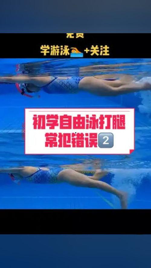 自由泳零基础教学视频,轻松掌握自由泳技巧